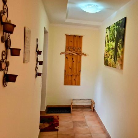 Ferienwohnung Im Landhaus Am Nationalpark Ludwigsthal 외부 사진