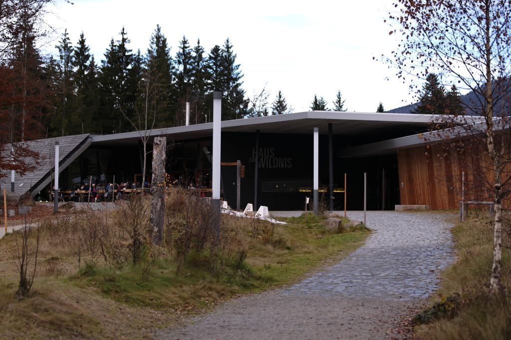 Ferienwohnung Im Landhaus Am Nationalpark Ludwigsthal 외부 사진