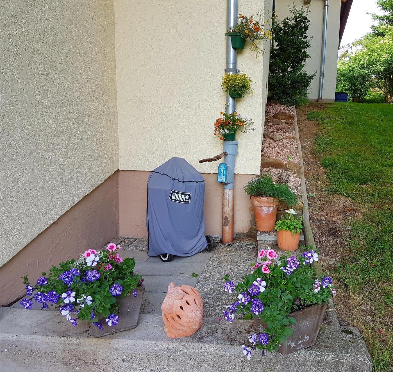 Ferienwohnung Im Landhaus Am Nationalpark Ludwigsthal 외부 사진
