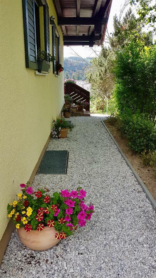 Ferienwohnung Im Landhaus Am Nationalpark Ludwigsthal 외부 사진